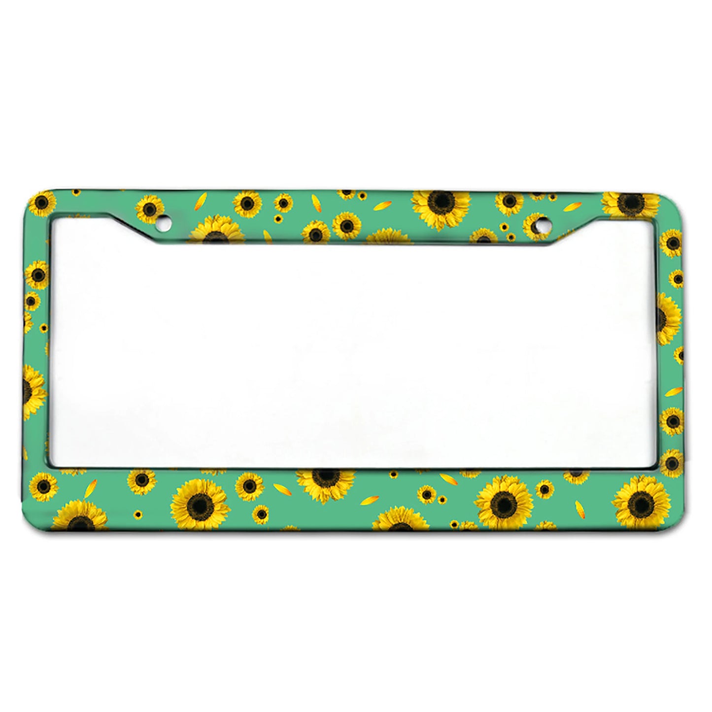Sleek Universal Aluminum License Plate Frame